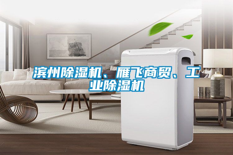 滨州除湿机、雁飞商贸、工业除湿机