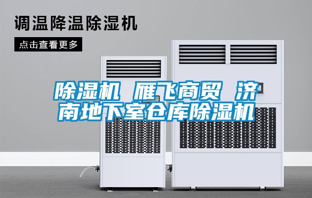除湿机 雁飞商贸 济南地下室仓库除湿机