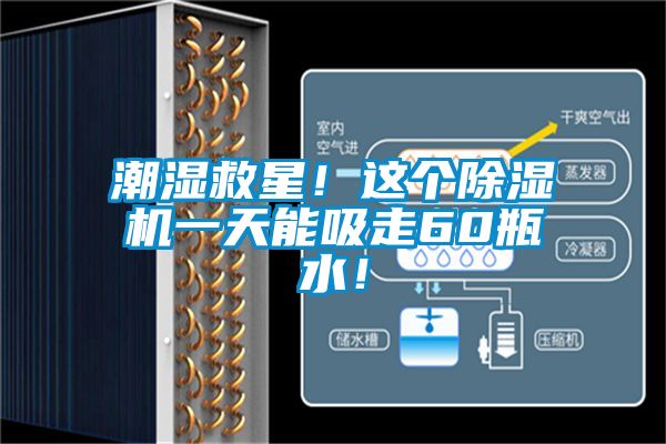 潮湿救星！这个除湿机一天能吸走60瓶水！