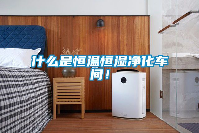 什么是恒温恒湿净化车间！