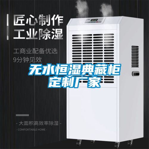 无水恒湿典藏柜定制厂家