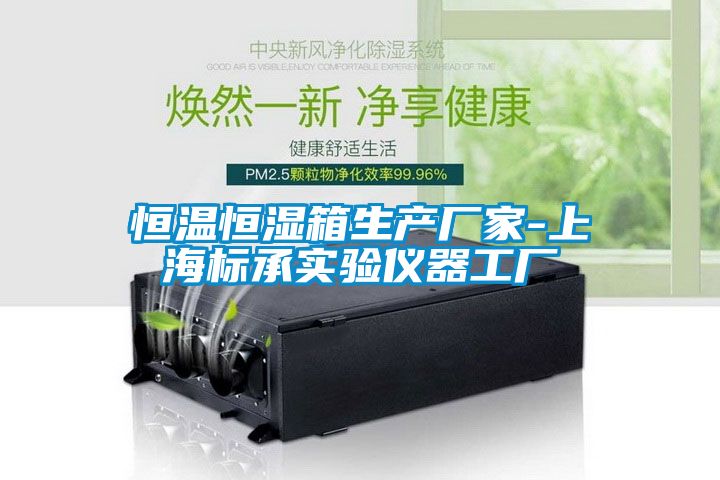 恒温恒湿箱生产厂家-上海标承实验仪器工厂