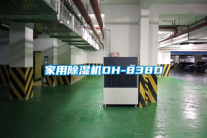 家用除湿机DH-838D