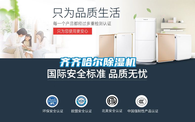 齐齐哈尔除湿机