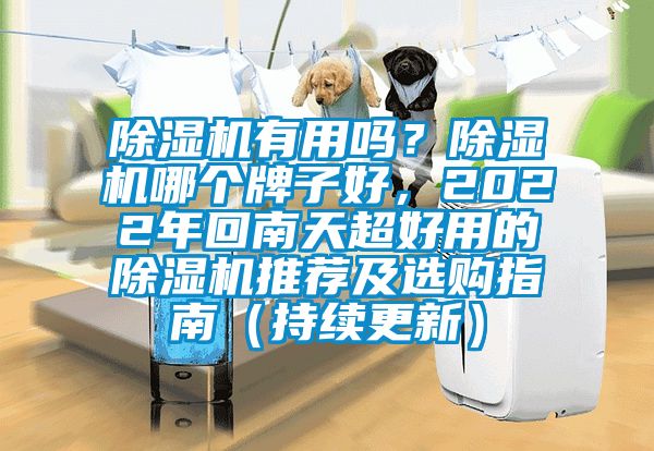 除湿机有用吗？除湿机哪个牌子好，2022年回南天超好用的除湿机推荐及选购指南（持续更新）