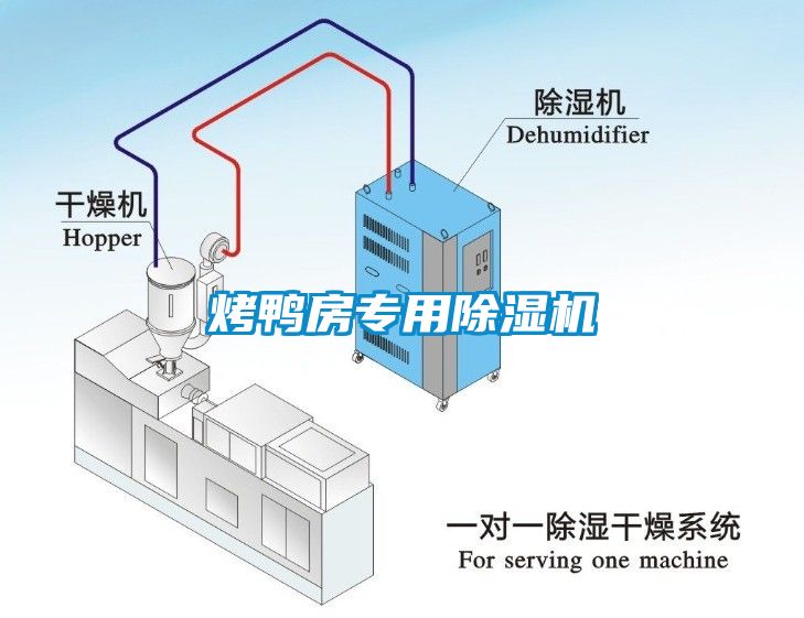 烤鸭房专用除湿机