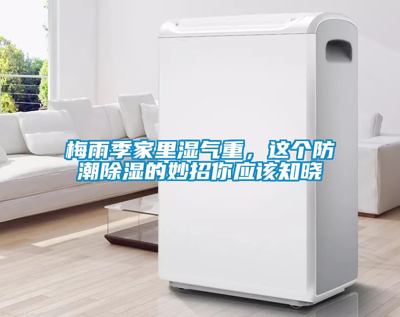 梅雨季家里湿气重，这个防潮除湿的妙招你应该知晓