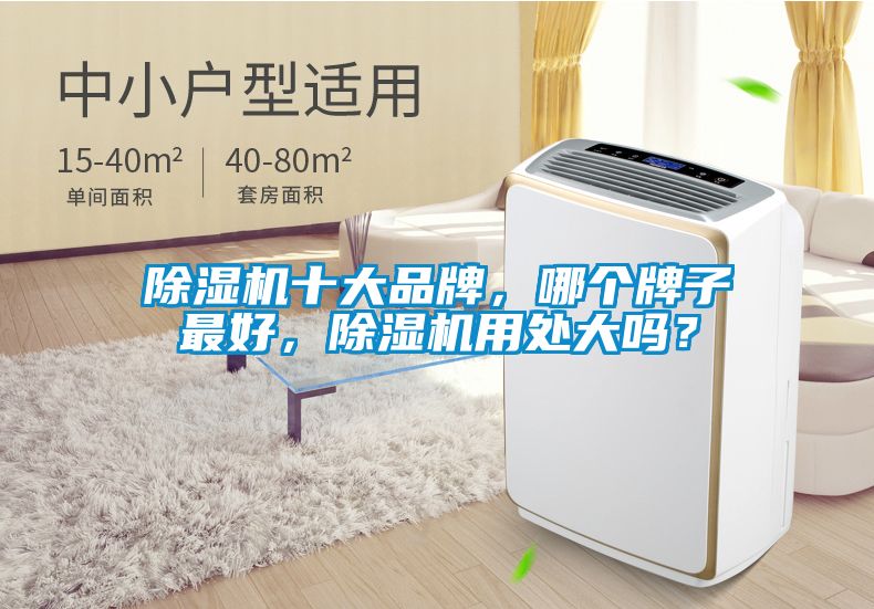 除湿机十大品牌，哪个牌子最好，除湿机用处大吗？