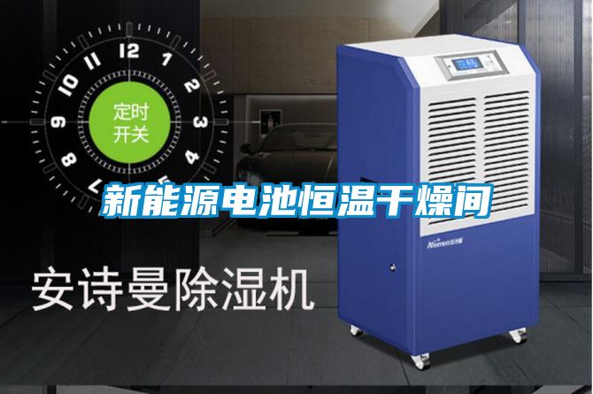 新能源电池恒温干燥间