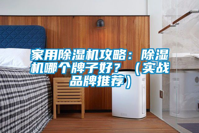 家用除湿机攻略：除湿机哪个牌子好？（实战品牌推荐）