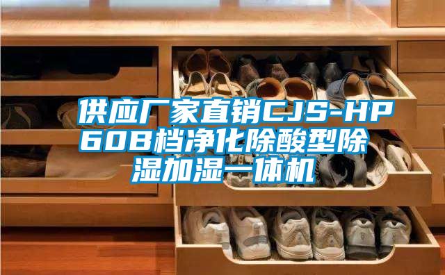 供应厂家直销CJS-HP60B档净化除酸型除湿加湿一体机