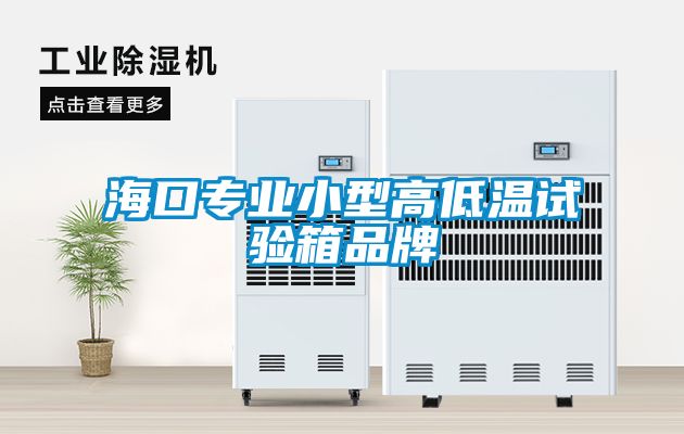 海口专业小型高低温试验箱品牌