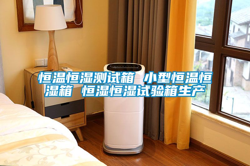 恒温恒湿测试箱 小型恒温恒湿箱 恒湿恒湿试验箱生产