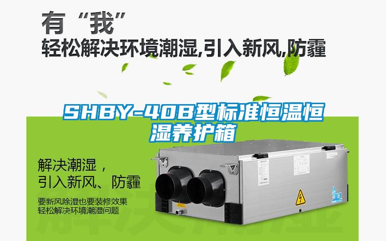 SHBY-40B型标准恒温恒湿养护箱