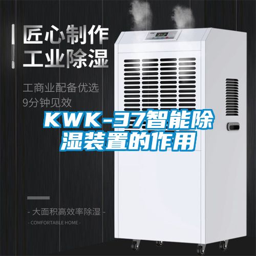 KWK-37智能除湿装置的作用