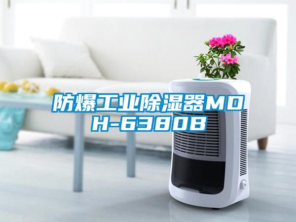 防爆工业除湿器MDH-6380B
