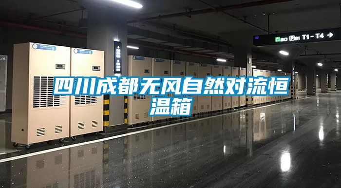 四川成都无风自然对流恒温箱
