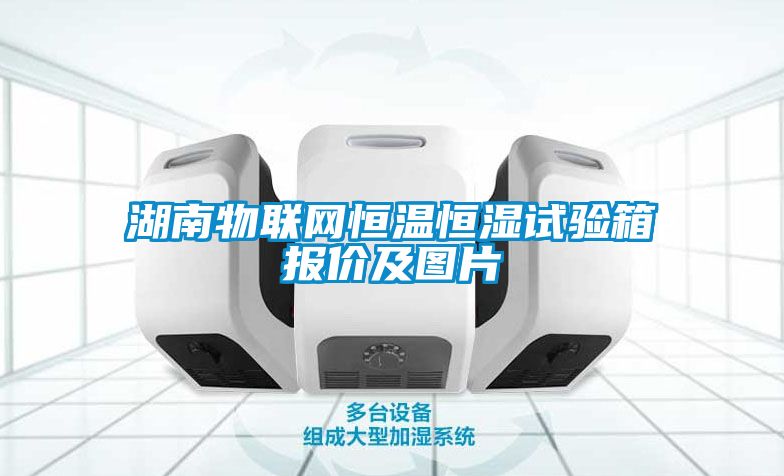 湖南物联网恒温恒湿试验箱报价及图片