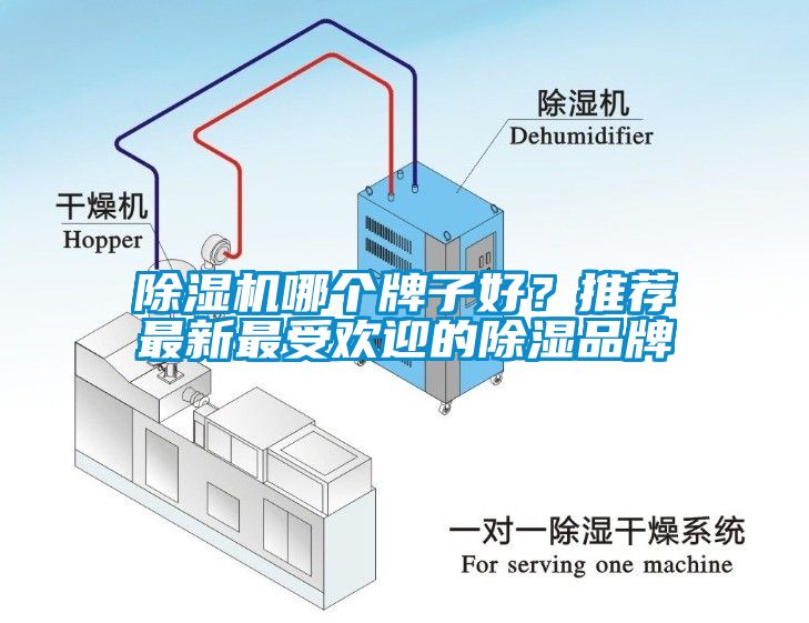 除湿机哪个牌子好？推荐最新最受欢迎的除湿品牌