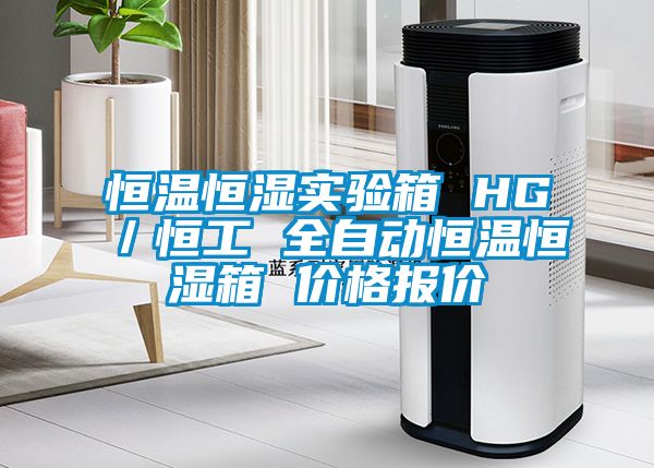 恒温恒湿实验箱 HG／恒工 全自动恒温恒湿箱 价格报价