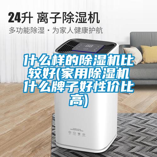 什么样的除湿机比较好(家用除湿机什么牌子好性价比高)