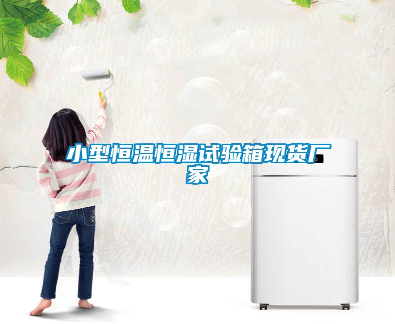 小型恒温恒湿试验箱现货厂家