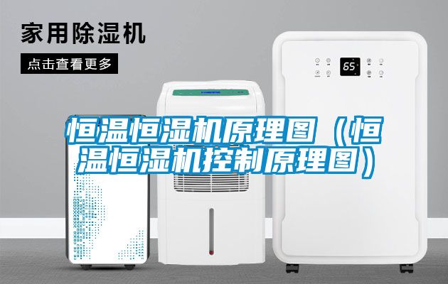 恒温恒湿机原理图（恒温恒湿机控制原理图）