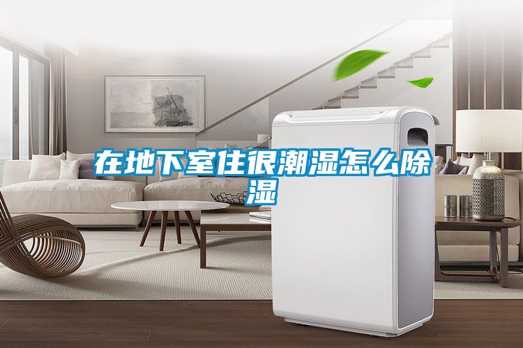 在地下室住很潮湿怎么除湿