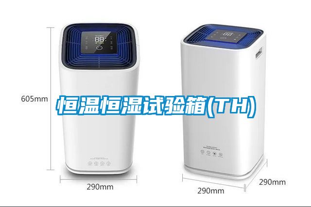恒温恒湿试验箱(TH)