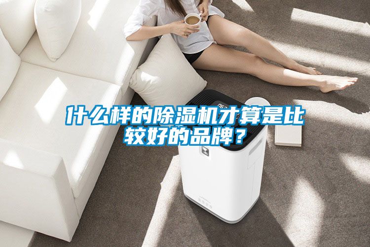 什么样的除湿机才算是比较好的品牌？