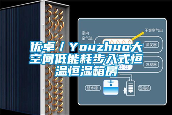 优卓／Youzhuo大空间低能耗步入式恒温恒湿箱房