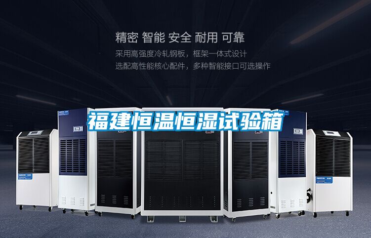 福建恒温恒湿试验箱