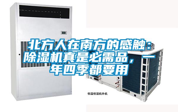 北方人在南方的感触：除湿机真是必需品，一年四季都要用