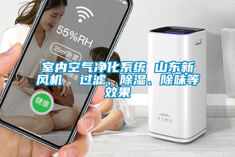 室内空气净化系统 山东新风机  过滤、除湿、除味等效果