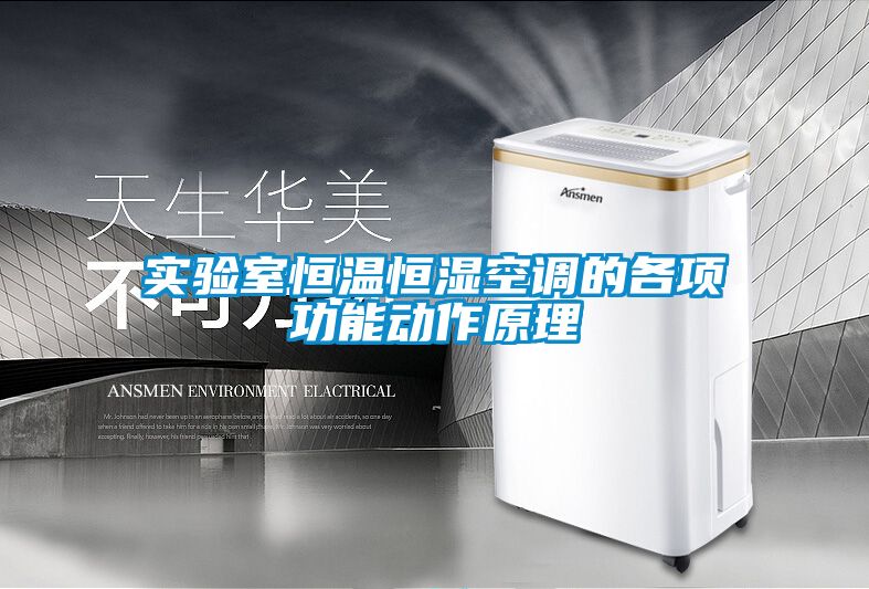 实验室恒温恒湿空调的各项功能动作原理