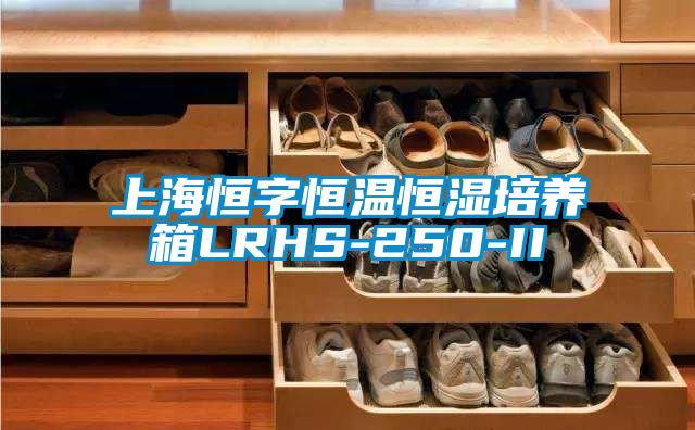 上海恒字恒温恒湿培养箱LRHS-250-II