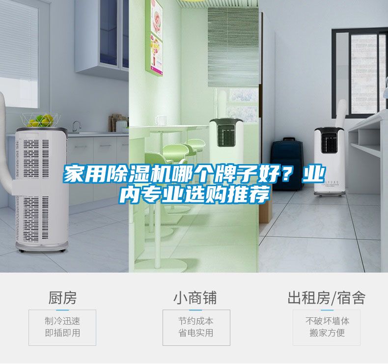 家用除湿机哪个牌子好？业内专业选购推荐