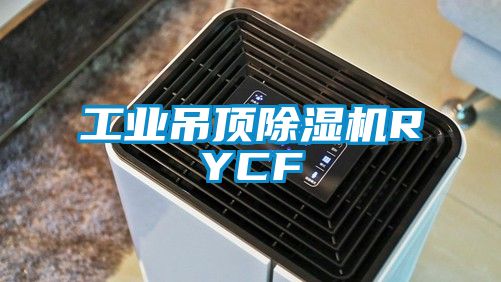 工业吊顶除湿机RYCF