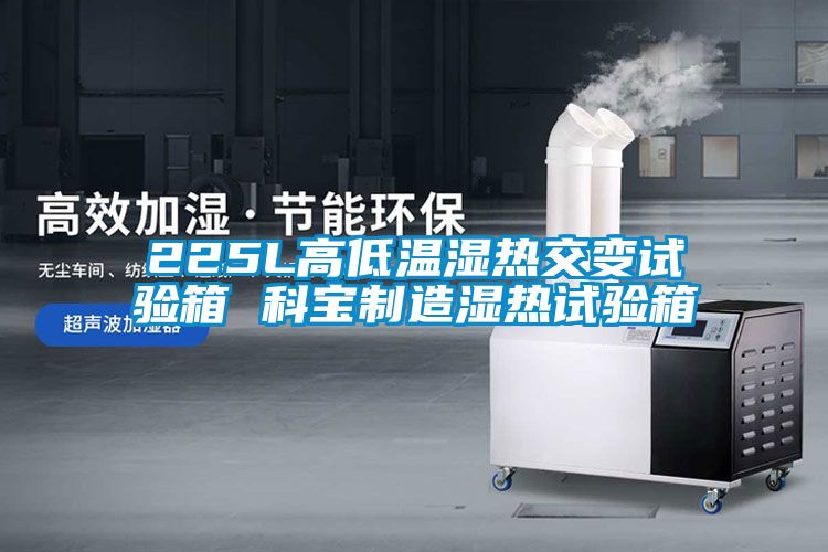225L高低温湿热交变试验箱 科宝制造湿热试验箱
