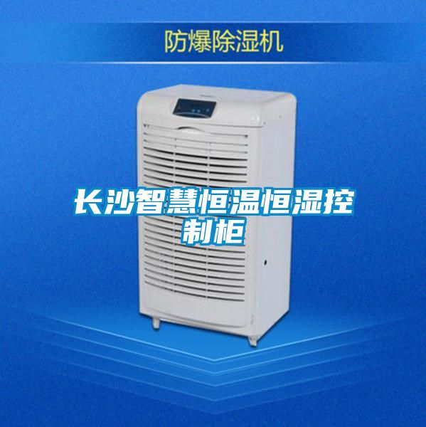 长沙智慧恒温恒湿控制柜