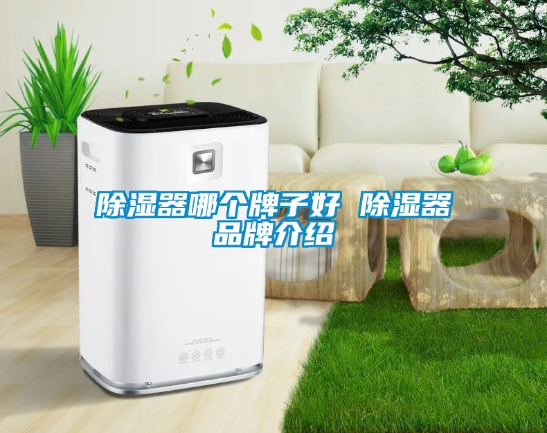 除湿器哪个牌子好 除湿器品牌介绍