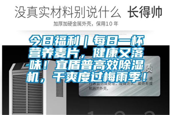 今日福利｜每日一杯营养麦片，健康又落味！宜盾普高效除湿机，干爽度过梅雨季！