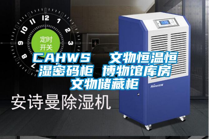 CAHWS  文物恒温恒湿密码柜 博物馆库房文物储藏柜