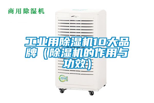 工业用除湿机10大品牌（除湿机的作用与功效）