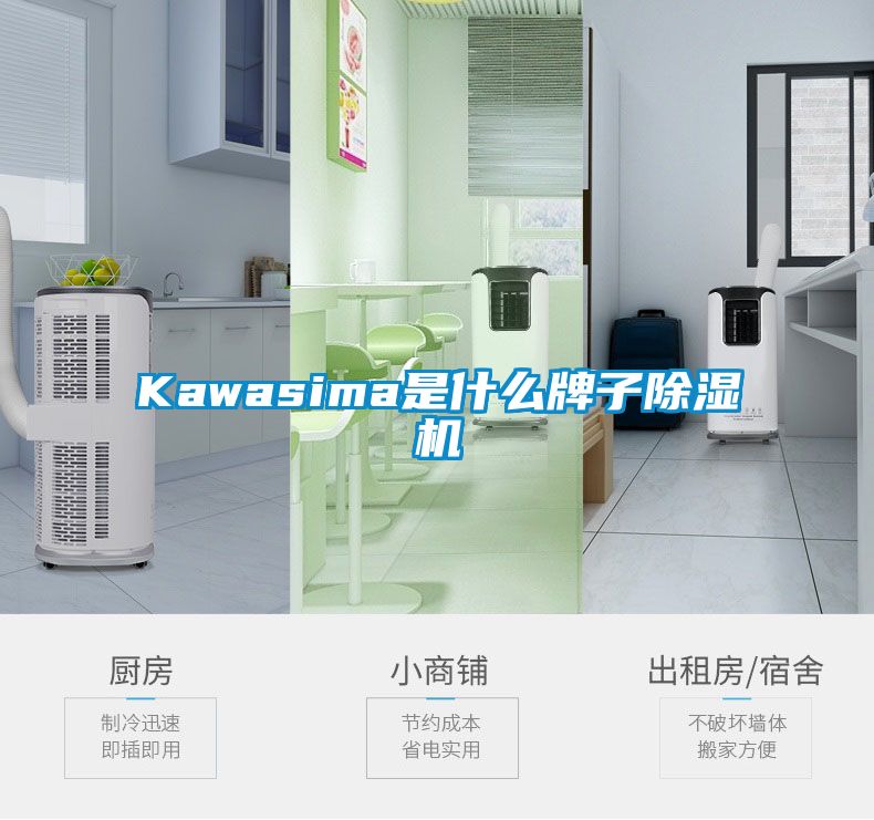 Kawasima是什么牌子除湿机