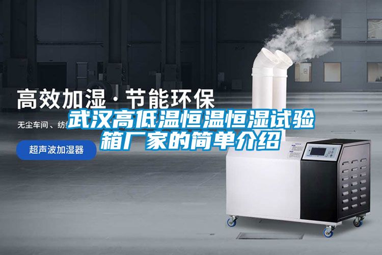 武汉高低温恒温恒湿试验箱厂家的简单介绍