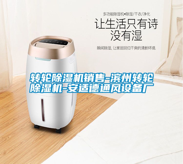 转轮除湿机销售-滨州转轮除湿机-安适德通风设备厂