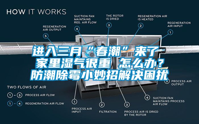 进入三月“春潮”来了 家里湿气很重 怎么办？防潮除霉小妙招解决困扰