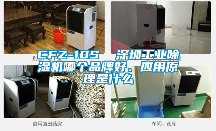 CFZ-10S  深圳工业除湿机哪个品牌好、应用原理是什么