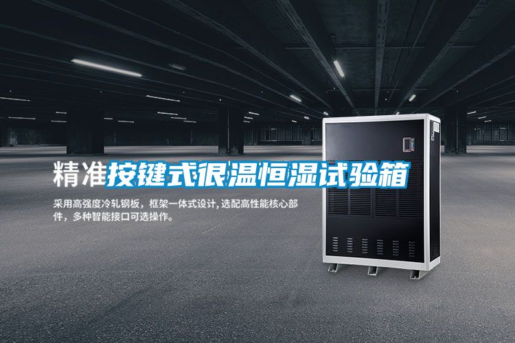 按键式很温恒湿试验箱